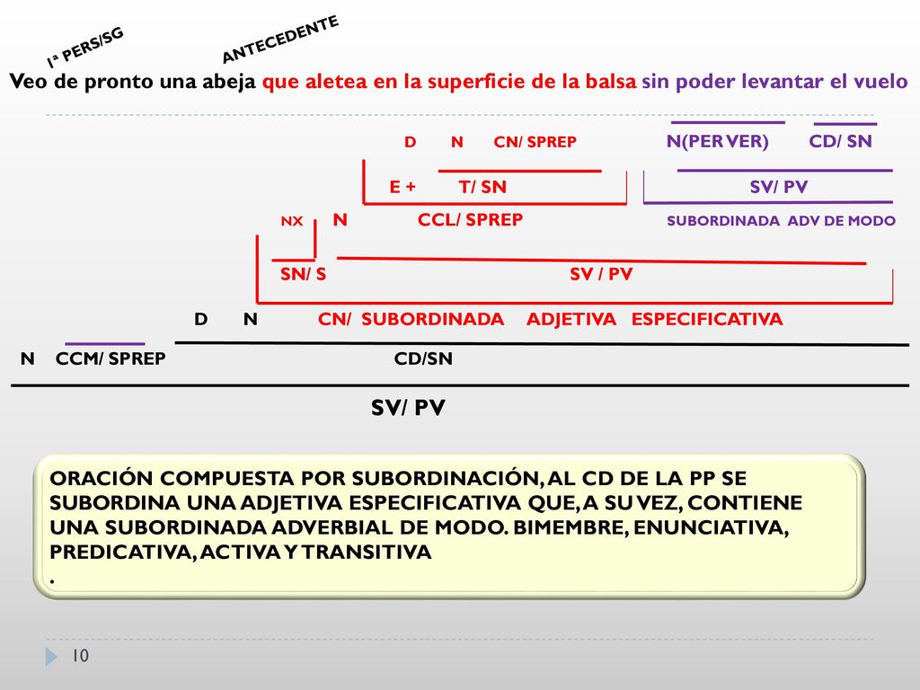 1ª PERS/SG ANTECEDENTE. Veo de pronto una abeja que aletea en la superficie de la balsa sin poder levantar el vuelo.