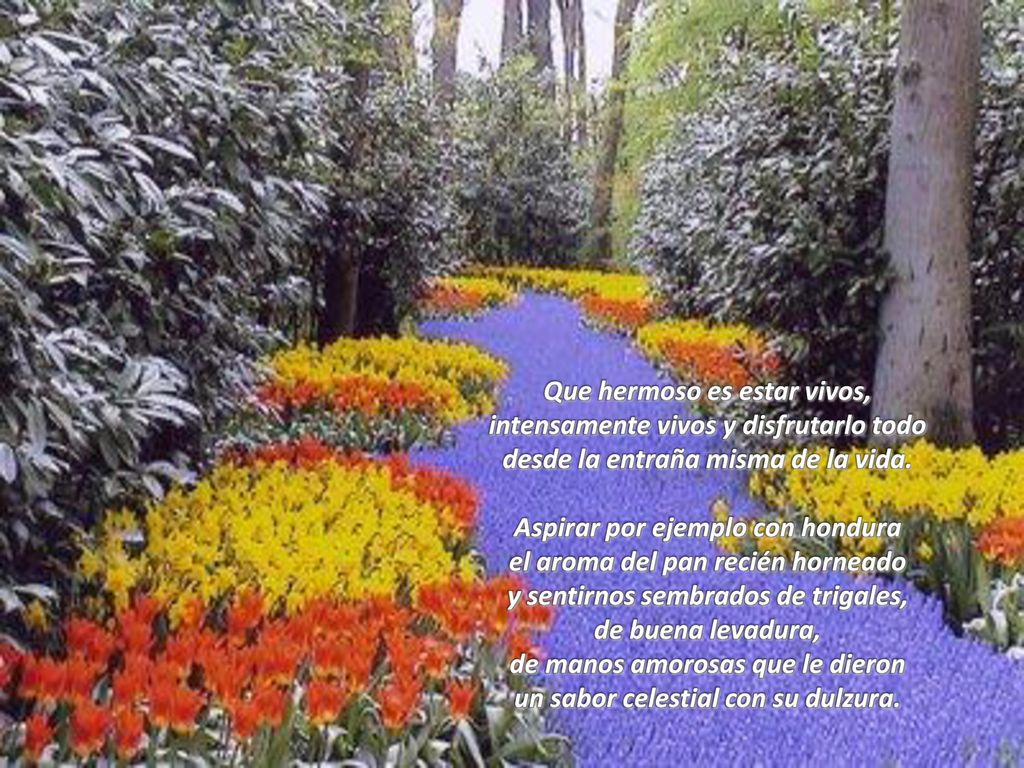 Que hermoso es estar vivos, intensamente vivos y disfrutarlo todo desde la entraña misma de la vida.