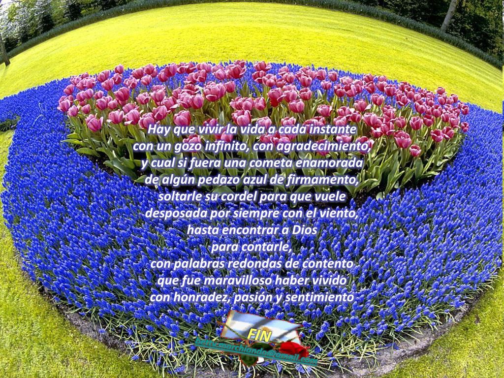 Hay que vivir la vida a cada instante con un gozo infinito, con agradecimiento, y cual si fuera una cometa enamorada de algún pedazo azul de firmamento, soltarle su cordel para que vuele desposada por siempre con el viento, hasta encontrar a Dios para contarle, con palabras redondas de contento que fue maravilloso haber vivido con honradez, pasión y sentimiento