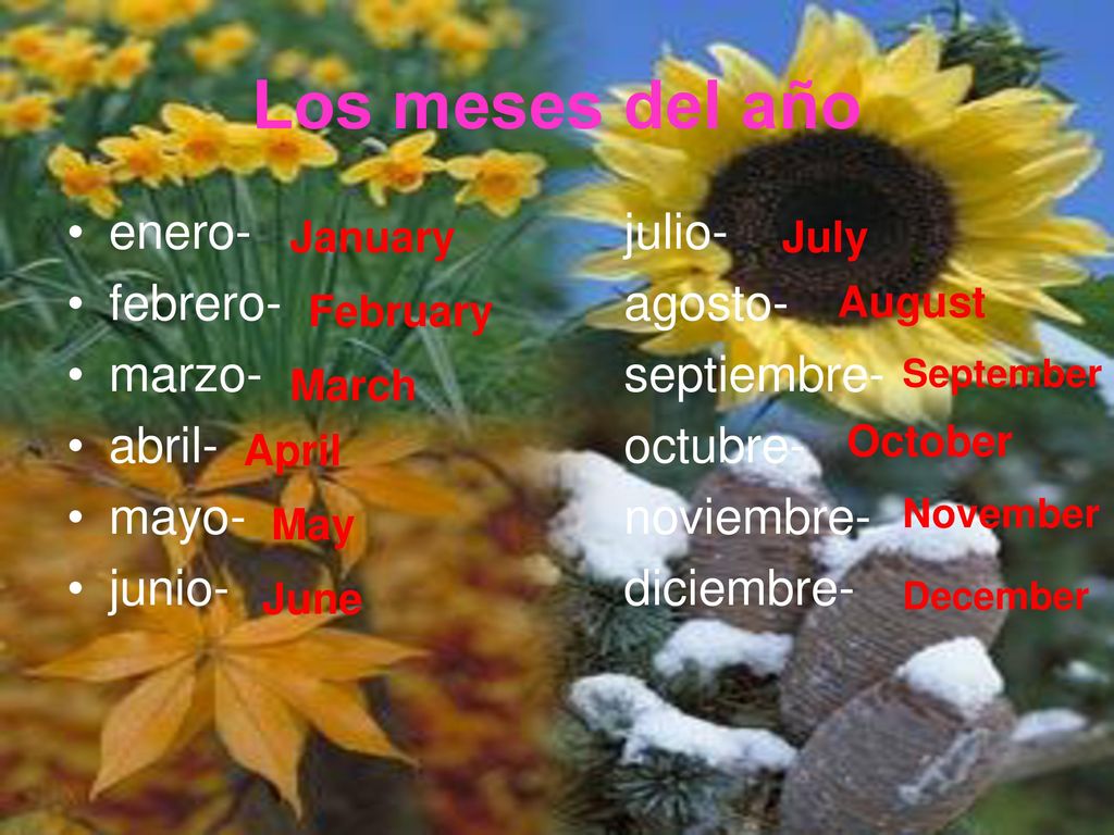 Los meses del año enero- julio- febrero- agosto- marzo- septiembre-