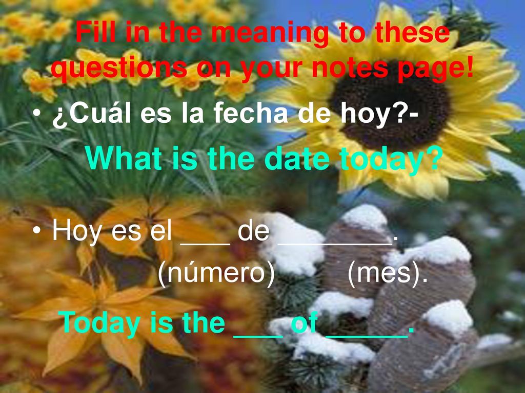 Fill in the meaning to these questions on your notes page!