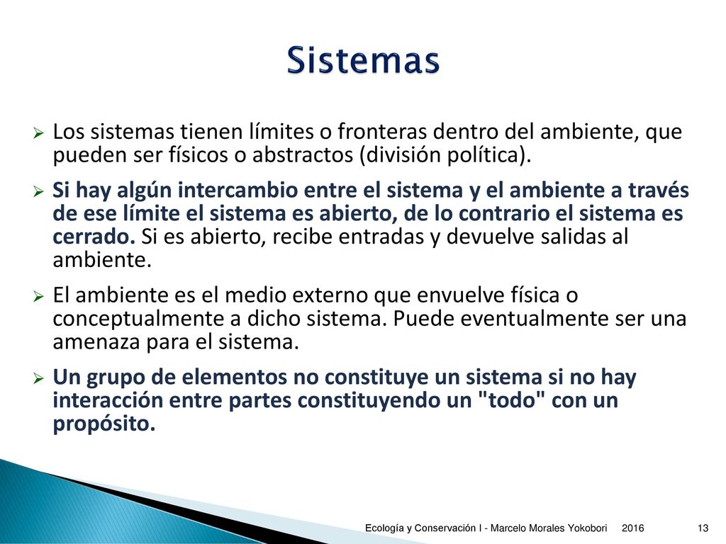 Sistemas Los sistemas tienen límites o fronteras dentro del ambiente, que pueden ser físicos o abstractos (división política).