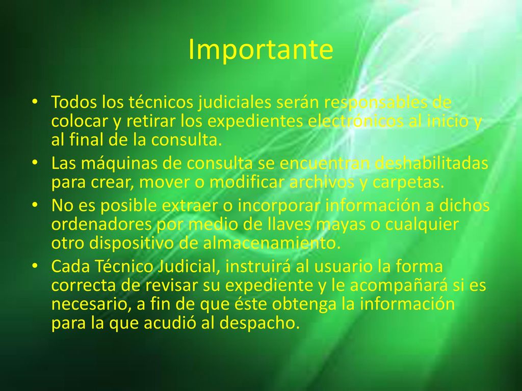 Importante Todos los técnicos judiciales serán responsables de colocar y retirar los expedientes electrónicos al inicio y al final de la consulta.