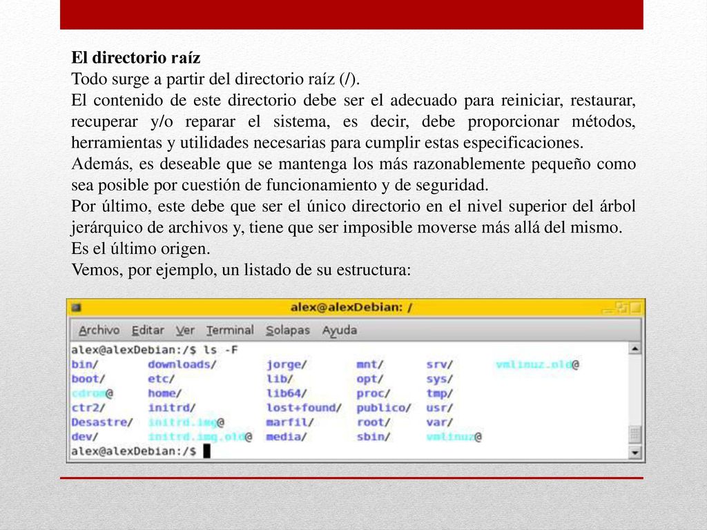 El directorio raíz Todo surge a partir del directorio raíz (/).
