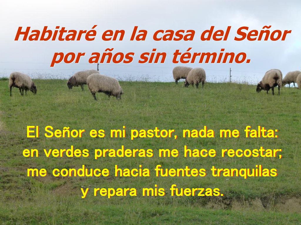 Habitaré en la casa del Señor por años sin término.