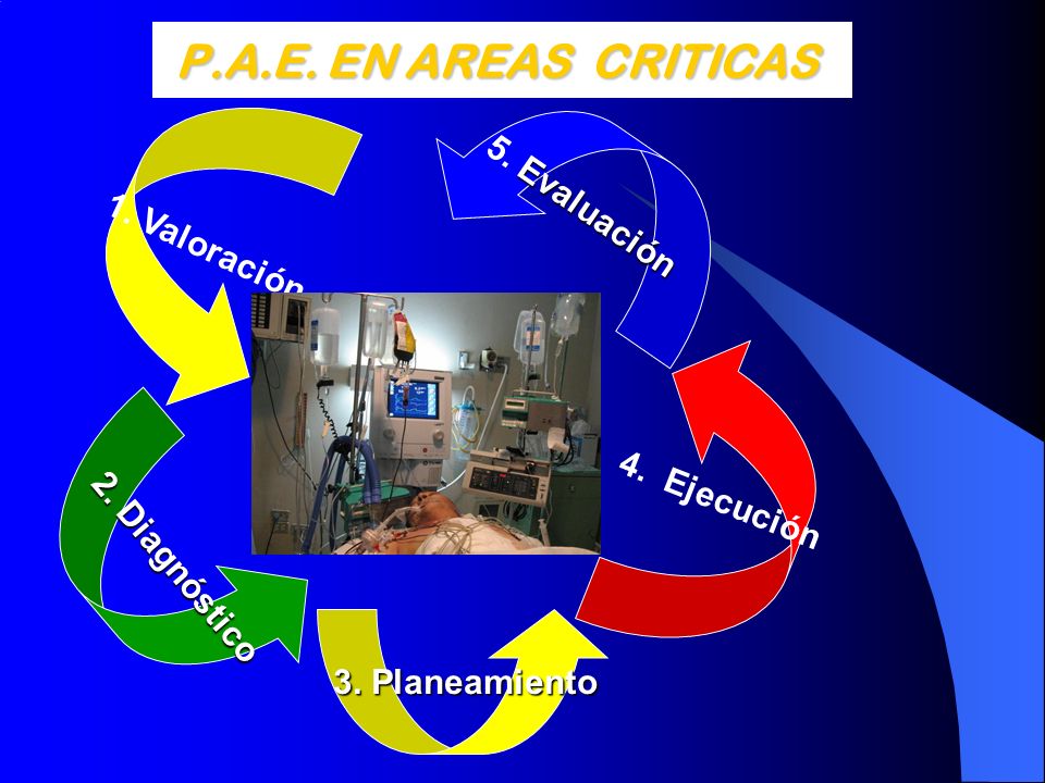 P.A.E. EN AREAS CRITICAS 5. Evaluación 1. Valoración 4. Ejecución