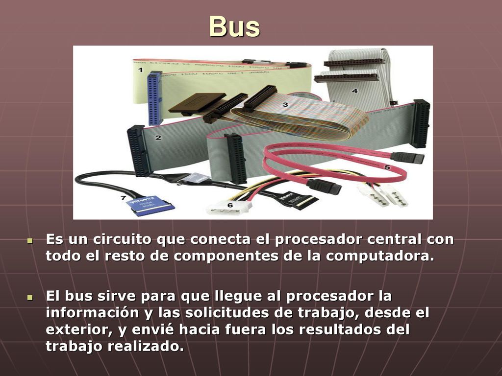 Bus Es un circuito que conecta el procesador central con todo el resto de componentes de la computadora.