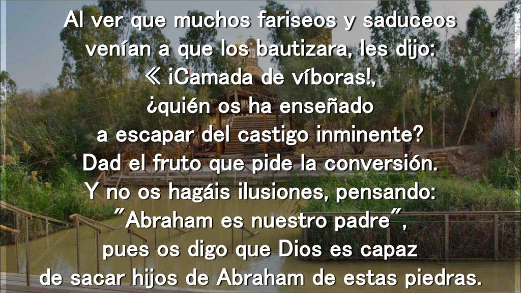 Al ver que muchos fariseos y saduceos venían a que los bautizara, les dijo: « ¡Camada de víboras!, ¿quién os ha enseñado a escapar del castigo inminente.
