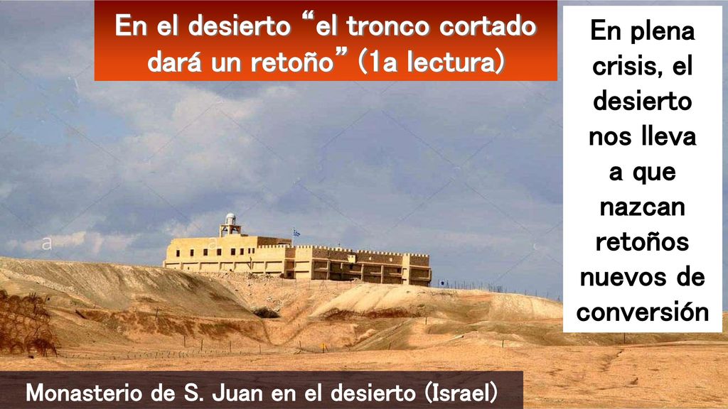 En el desierto el tronco cortado dará un retoño (1a lectura)