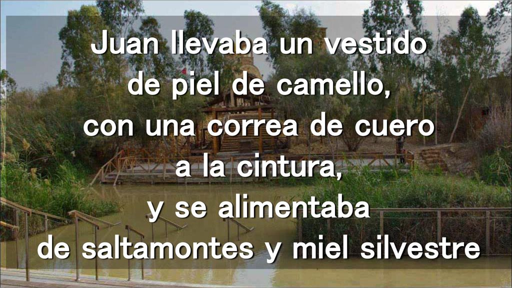 Juan llevaba un vestido de piel de camello, con una correa de cuero a la cintura, y se alimentaba de saltamontes y miel silvestre