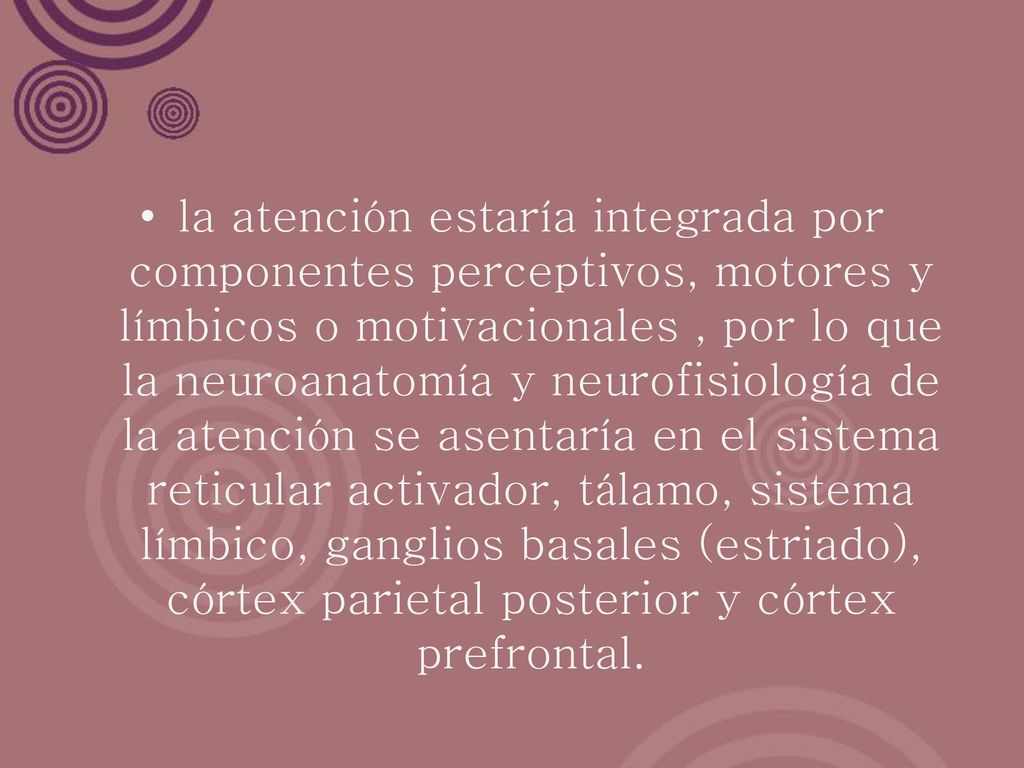la atención estaría integrada por componentes perceptivos, motores y límbicos o motivacionales , por lo que la neuroanatomía y neurofisiología de la atención se asentaría en el sistema reticular activador, tálamo, sistema límbico, ganglios basales (estriado), córtex parietal posterior y córtex prefrontal.