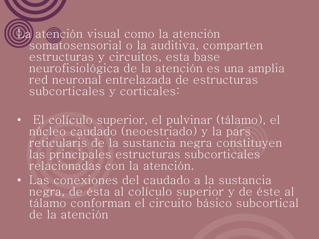 La atención visual como la atención somatosensorial o la auditiva, comparten estructuras y circuitos, esta base neurofisiológica de la atención es una amplia red neuronal entrelazada de estructuras subcorticales y corticales: