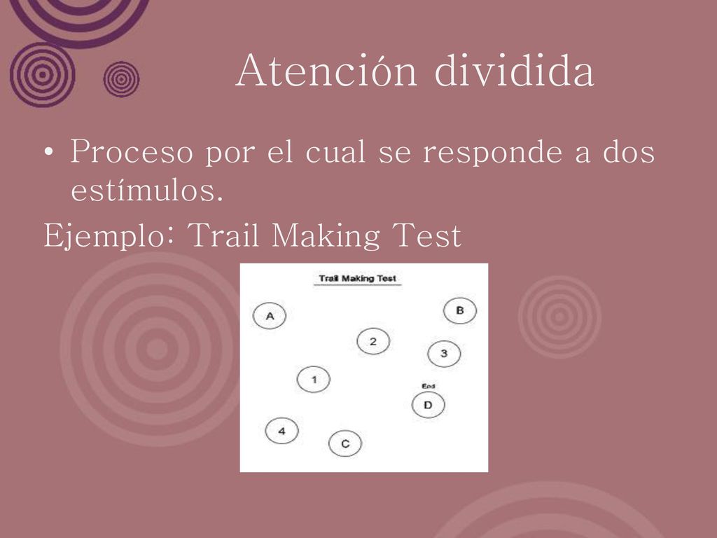 Atención dividida Proceso por el cual se responde a dos estímulos.