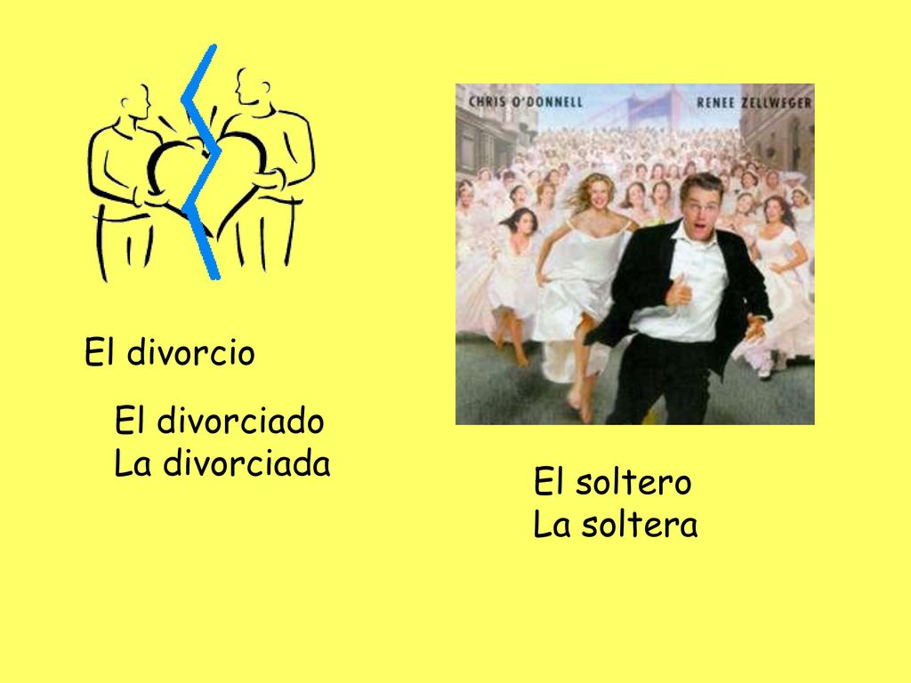 El divorcio El divorciado La divorciada El soltero La soltera
