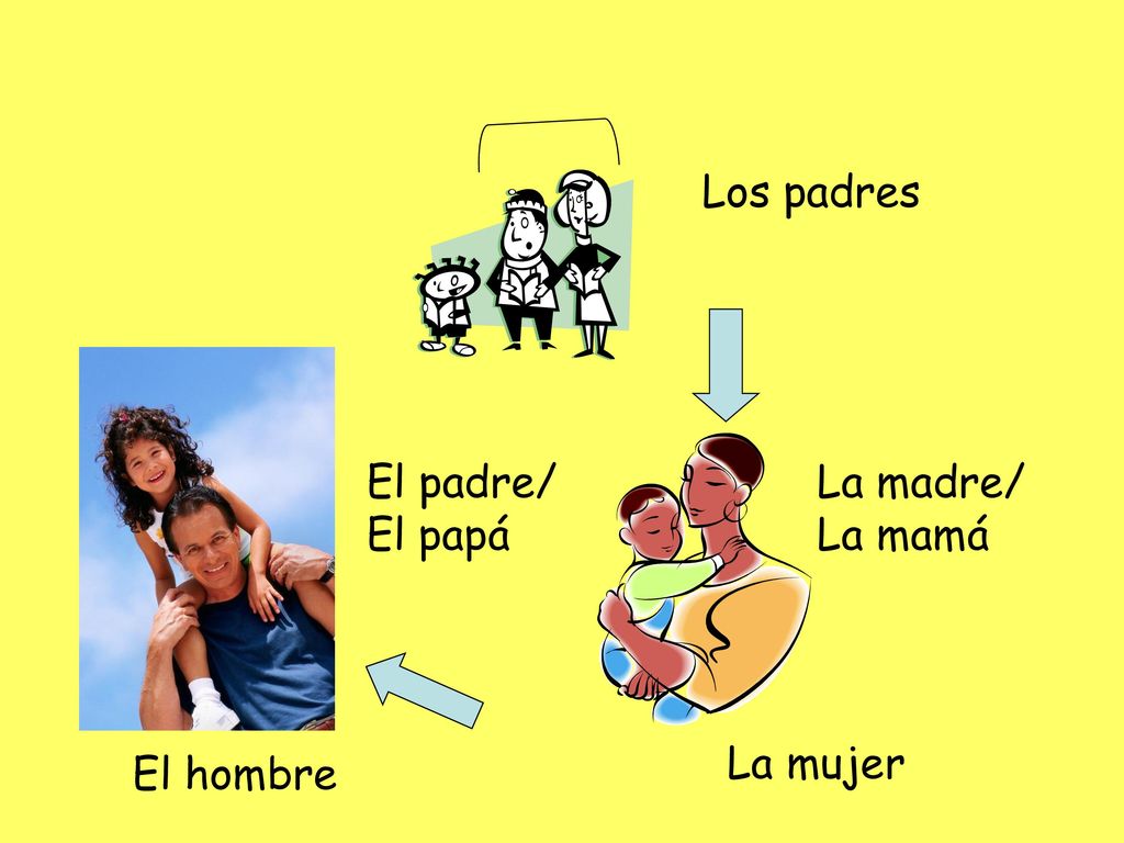 Los padres El padre/ El papá La madre/ La mamá La mujer El hombre