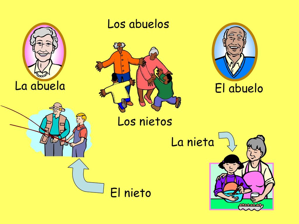Los abuelos La abuela El abuelo Los nietos La nieta El nieto