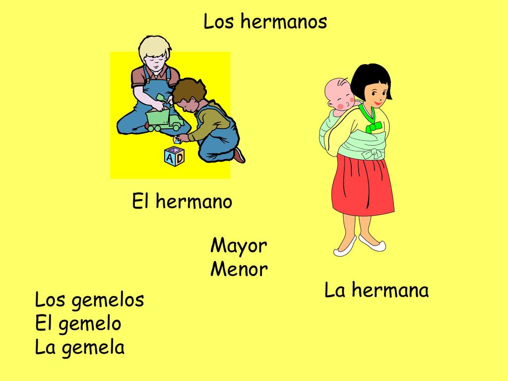 Los hermanos El hermano Mayor Menor La hermana Los gemelos El gemelo La gemela
