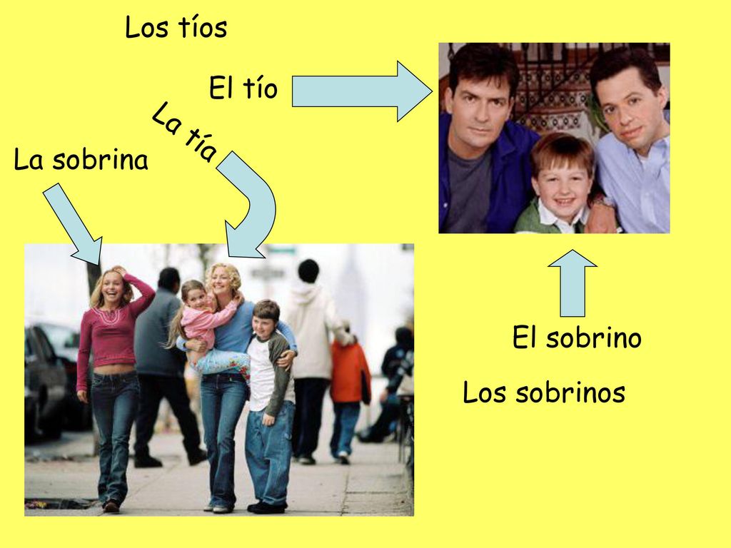 Los tíos El tío La tía La sobrina El sobrino Los sobrinos
