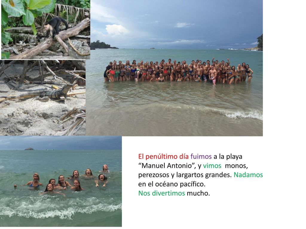 El penúltimo día fuimos a la playa Manuel Antonio , y vimos monos, perezosos y largartos grandes. Nadamos en el océano pacífico.