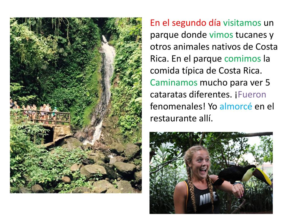 En el segundo día visitamos un parque donde vimos tucanes y otros animales nativos de Costa Rica. En el parque comimos la comida típica de Costa Rica.