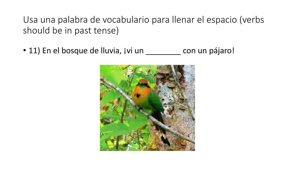 Usa una palabra de vocabulario para llenar el espacio (verbs should be in past tense)