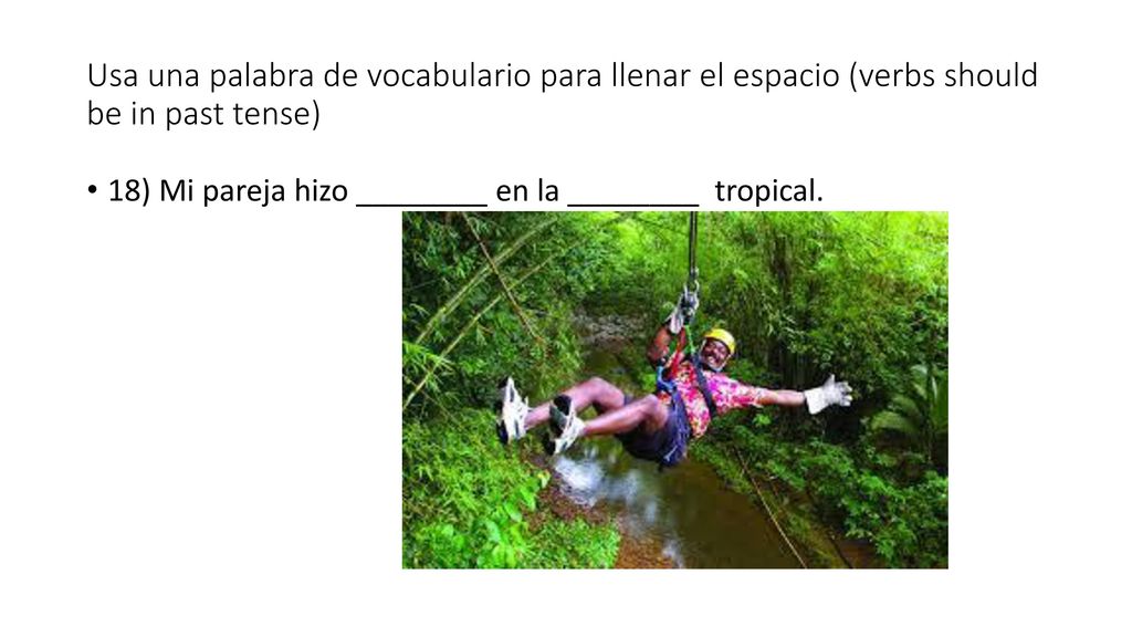 Usa una palabra de vocabulario para llenar el espacio (verbs should be in past tense)