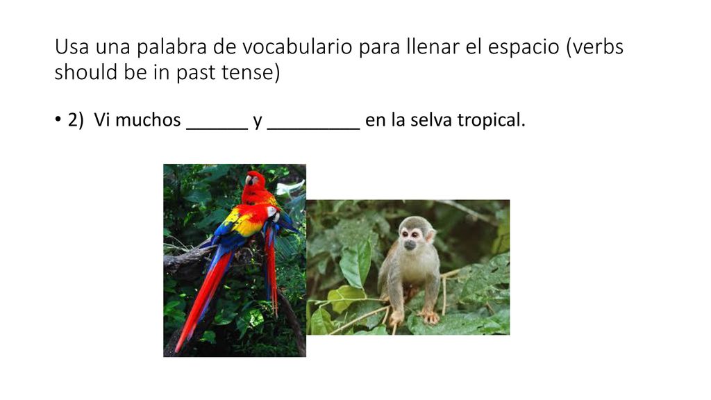 Usa una palabra de vocabulario para llenar el espacio (verbs should be in past tense)