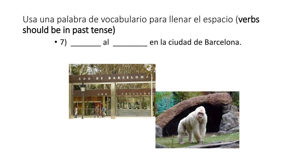 Usa una palabra de vocabulario para llenar el espacio (verbs should be in past tense)