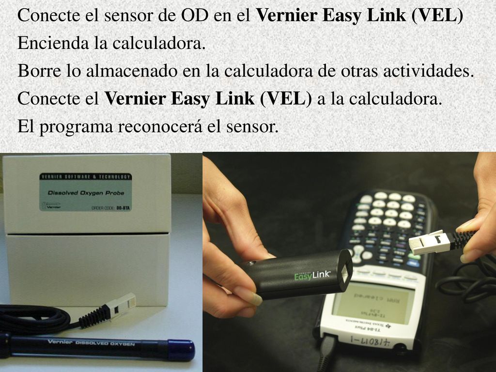 Conecte el sensor de OD en el Vernier Easy Link (VEL)