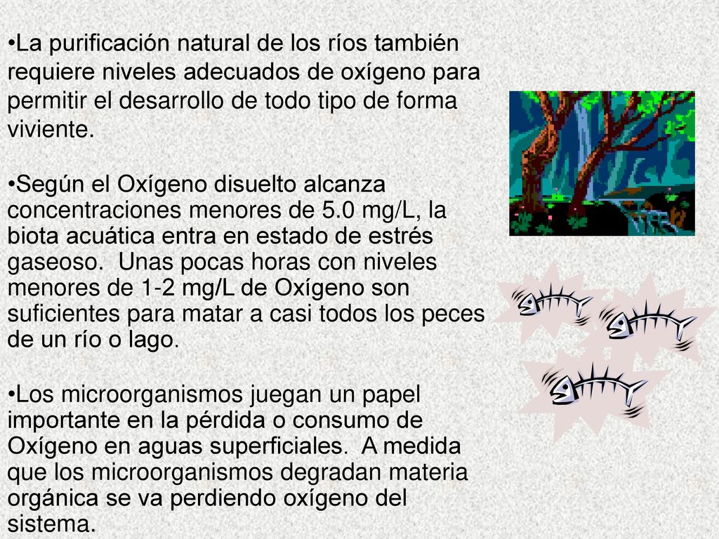 La purificación natural de los ríos también requiere niveles adecuados de oxígeno para permitir el desarrollo de todo tipo de forma viviente.