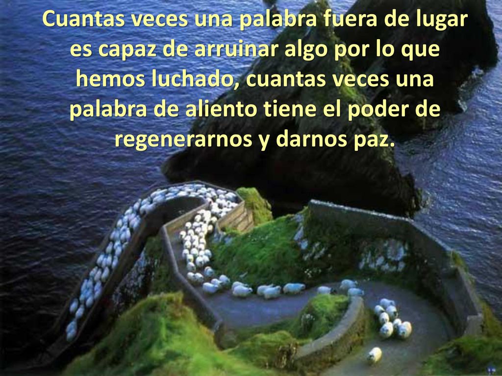 Cuantas veces una palabra fuera de lugar es capaz de arruinar algo por lo que hemos luchado, cuantas veces una palabra de aliento tiene el poder de regenerarnos y darnos paz.