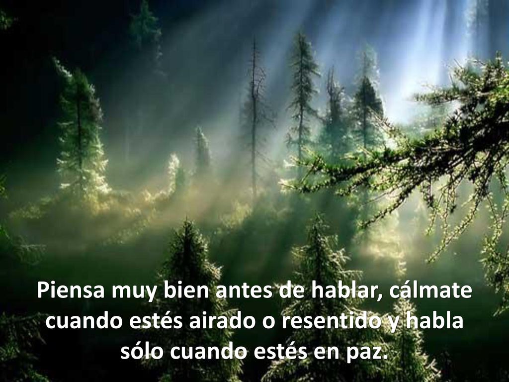 Piensa muy bien antes de hablar, cálmate cuando estés airado o resentido y habla sólo cuando estés en paz.