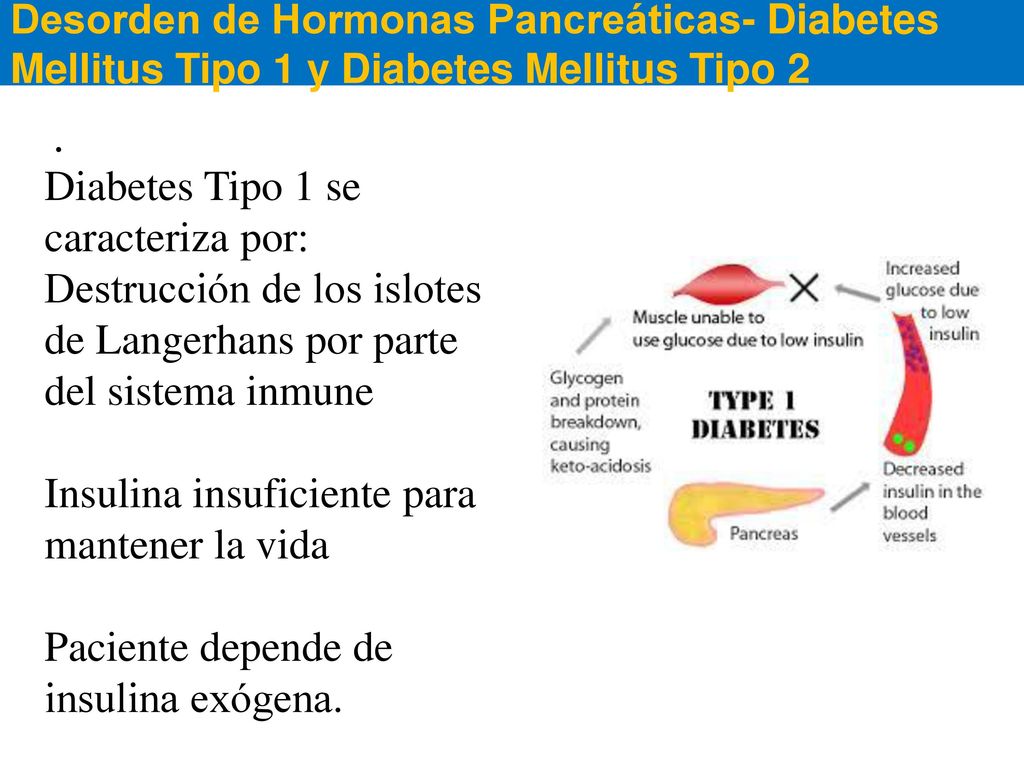 . Diabetes Tipo 1 se caracteriza por: