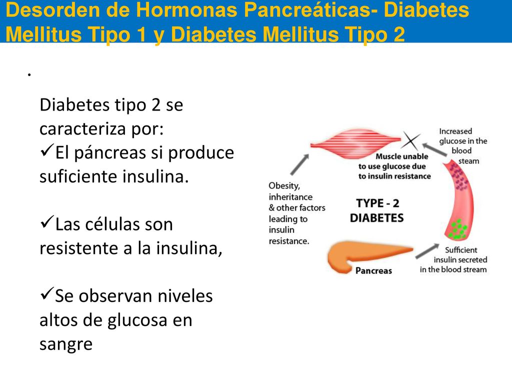 Desorden de Hormonas Pancreáticas- Diabetes Mellitus Tipo 1 y Diabetes Mellitus Tipo 2