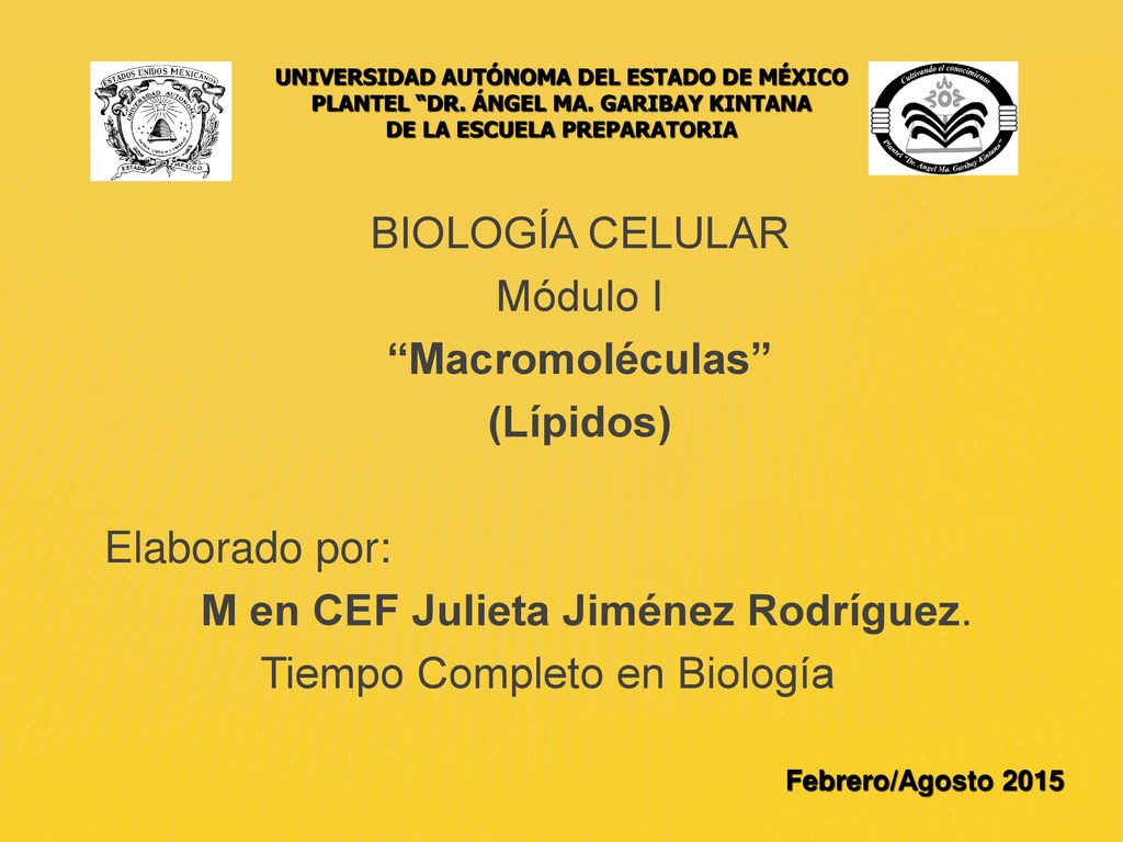 PLANTEL DR. ÁNGEL MA. GARIBAY KINTANA DE LA ESCUELA PREPARATORIA