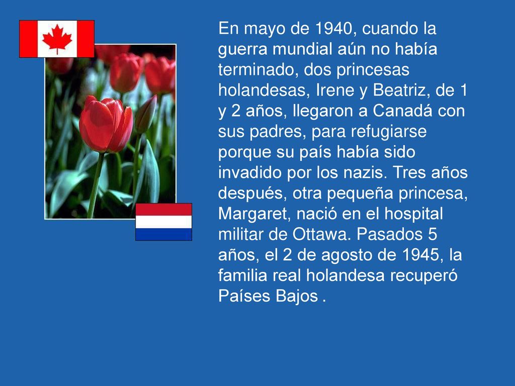 En mayo de 1940, cuando la guerra mundial aún no había terminado, dos princesas holandesas, Irene y Beatriz, de 1 y 2 años, llegaron a Canadá con sus padres, para refugiarse porque su país había sido invadido por los nazis.