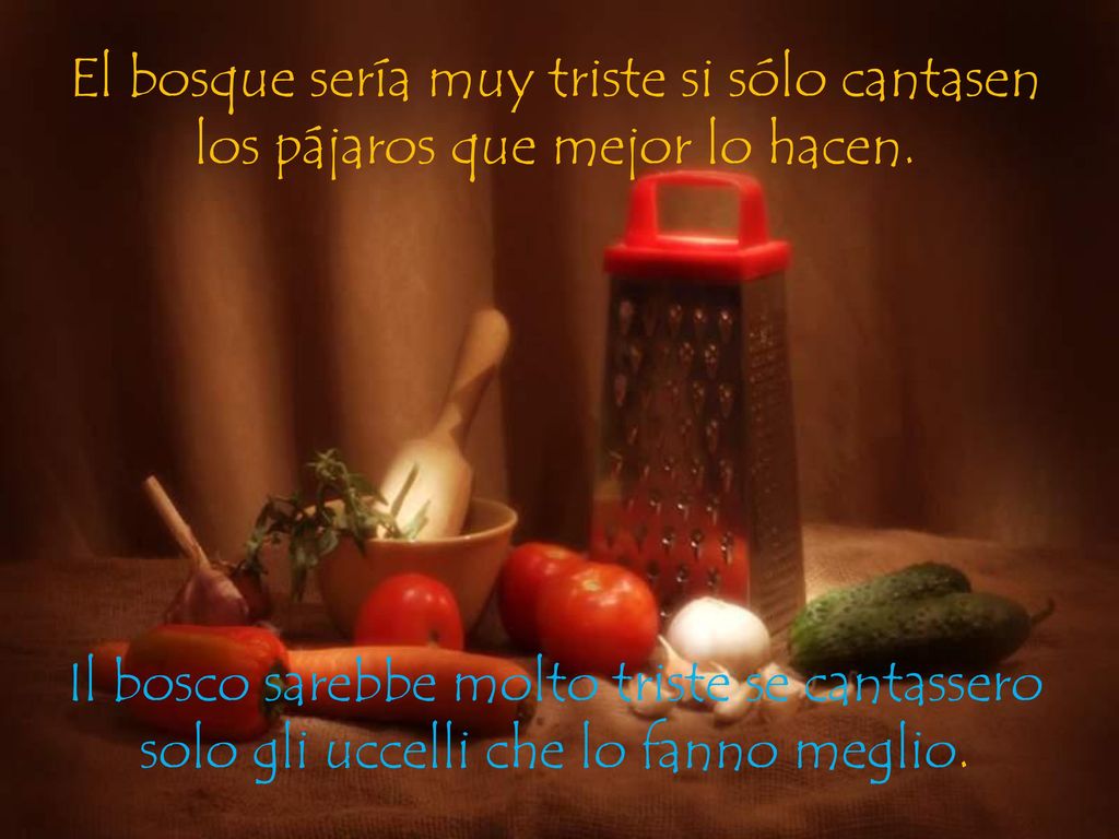 El bosque sería muy triste si sólo cantasen los pájaros que mejor lo hacen.