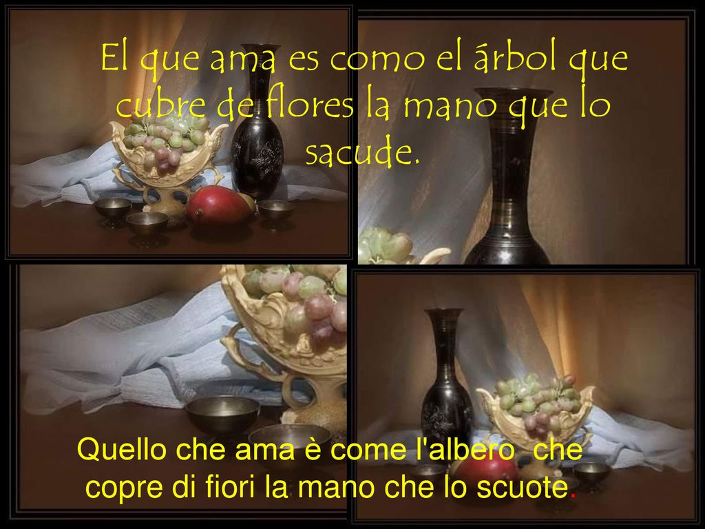 El que ama es como el árbol que cubre de flores la mano que lo sacude.