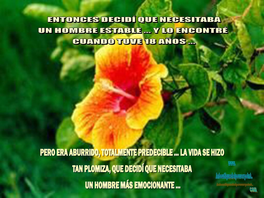 ENTONCES DECIDÍ QUE NECESITABA UN HOMBRE ESTABLE ... Y LO ENCONTRÉ