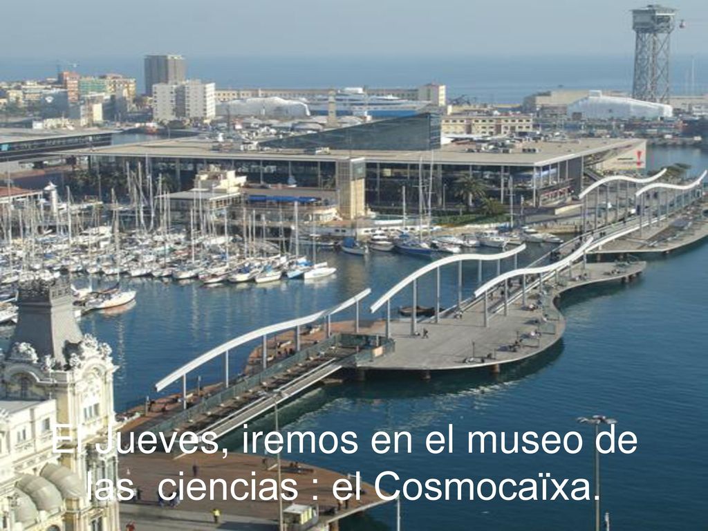 El Jueves, iremos en el museo de las ciencias : el Cosmocaïxa.