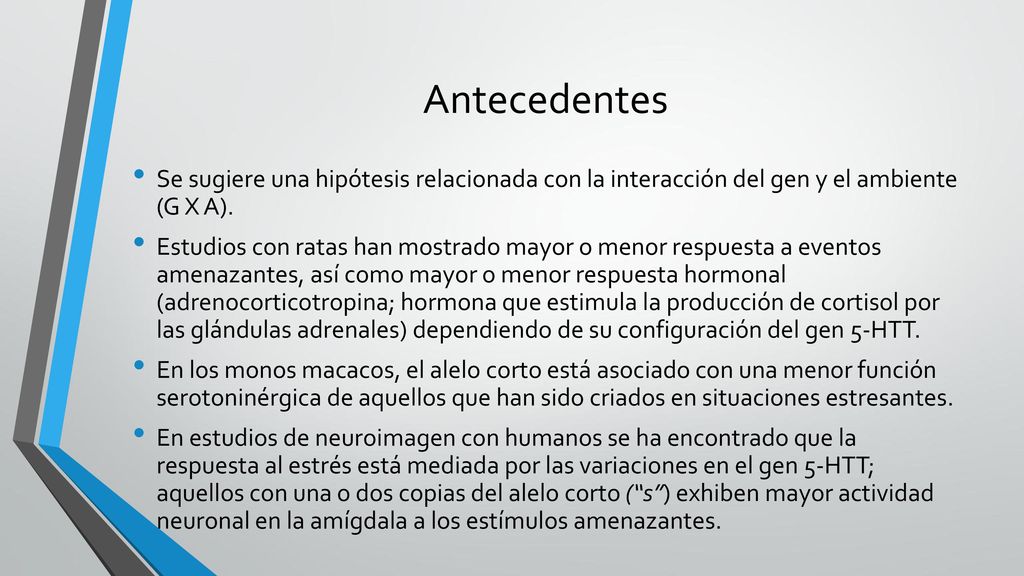 Antecedentes Se sugiere una hipótesis relacionada con la interacción del gen y el ambiente (G X A).