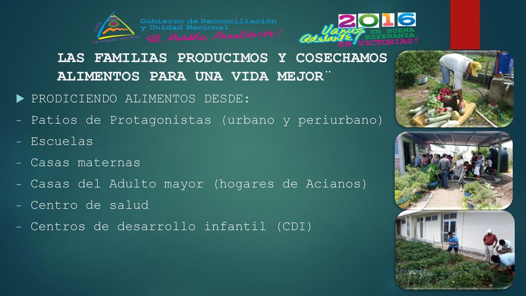 LAS FAMILIAS PRODUCIMOS Y COSECHAMOS ALIMENTOS PARA UNA VIDA MEJOR¨