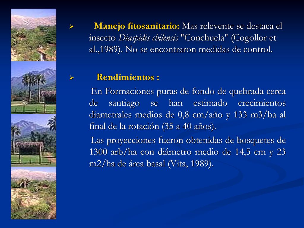 Manejo fitosanitario: Mas relevente se destaca el insecto Diaspidis chilensis Conchuela (Cogollor et al.,1989). No se encontraron medidas de control.