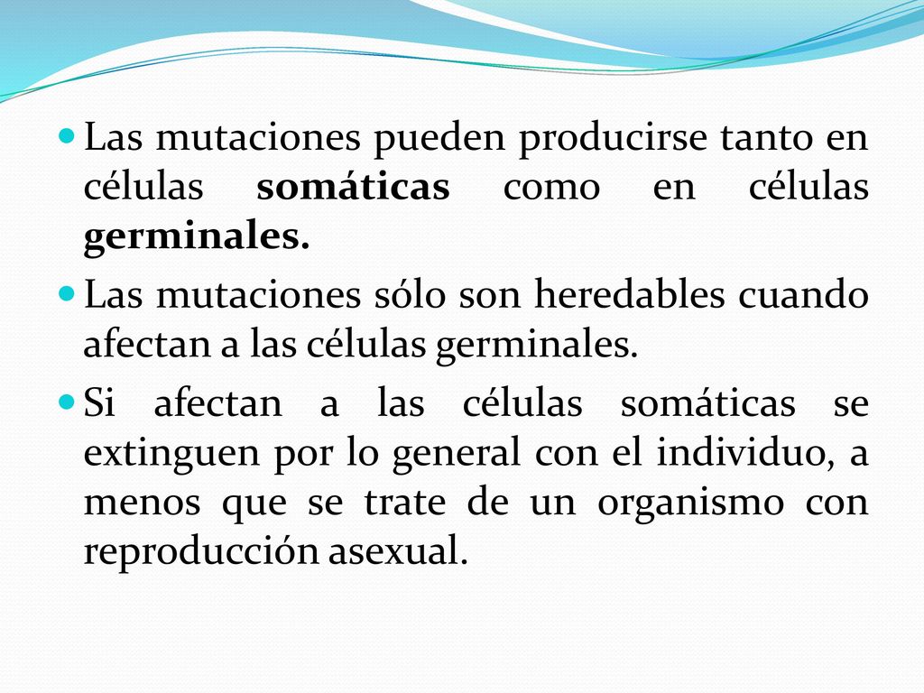 Las mutaciones pueden producirse tanto en células somáticas como en células germinales.