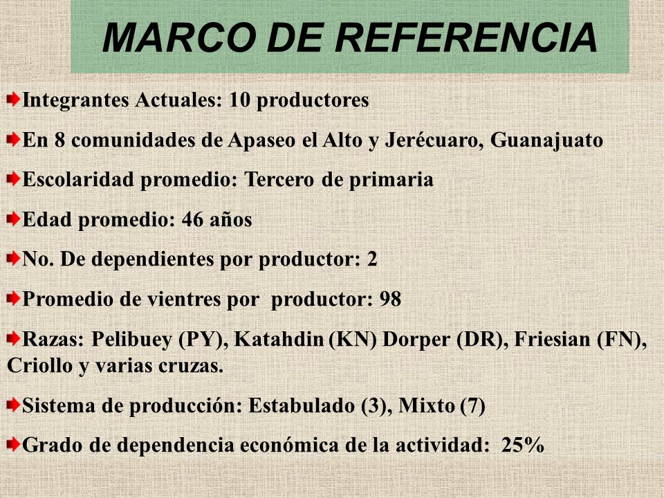 MARCO DE REFERENCIA Integrantes Actuales: 10 productores