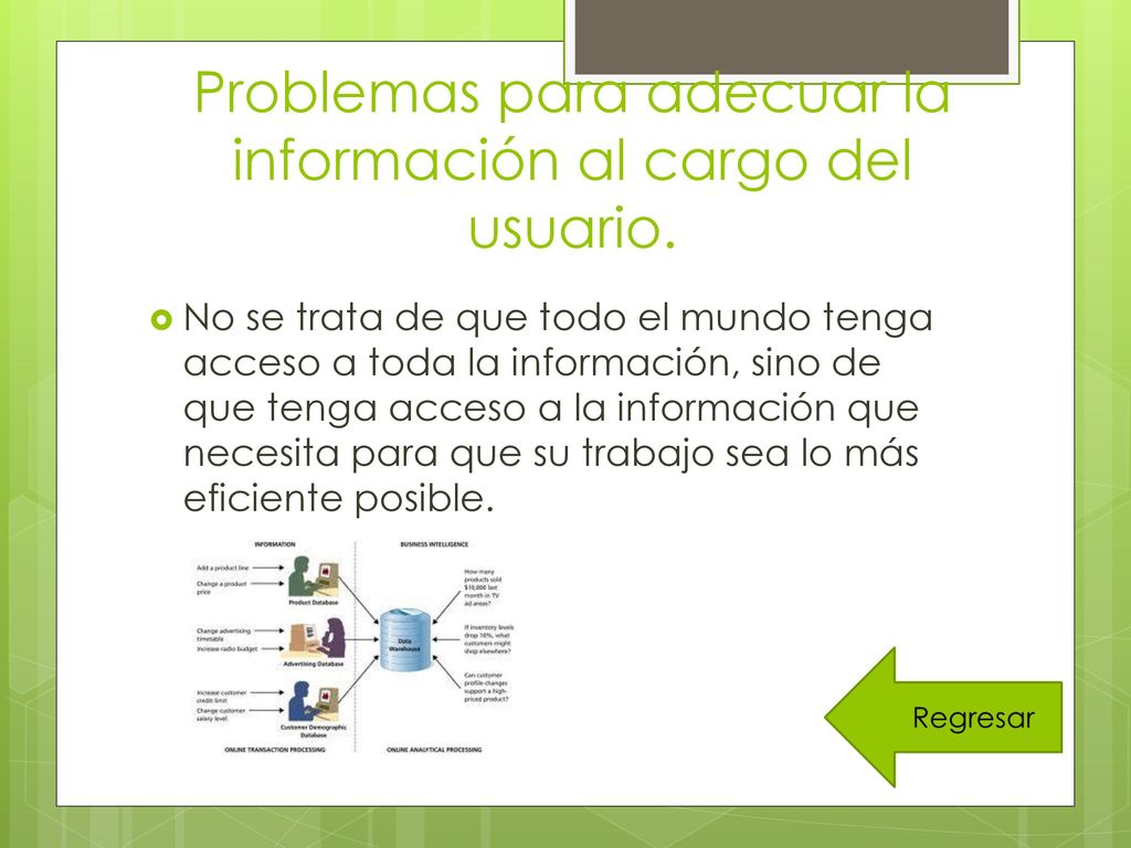 Problemas para adecuar la información al cargo del usuario.