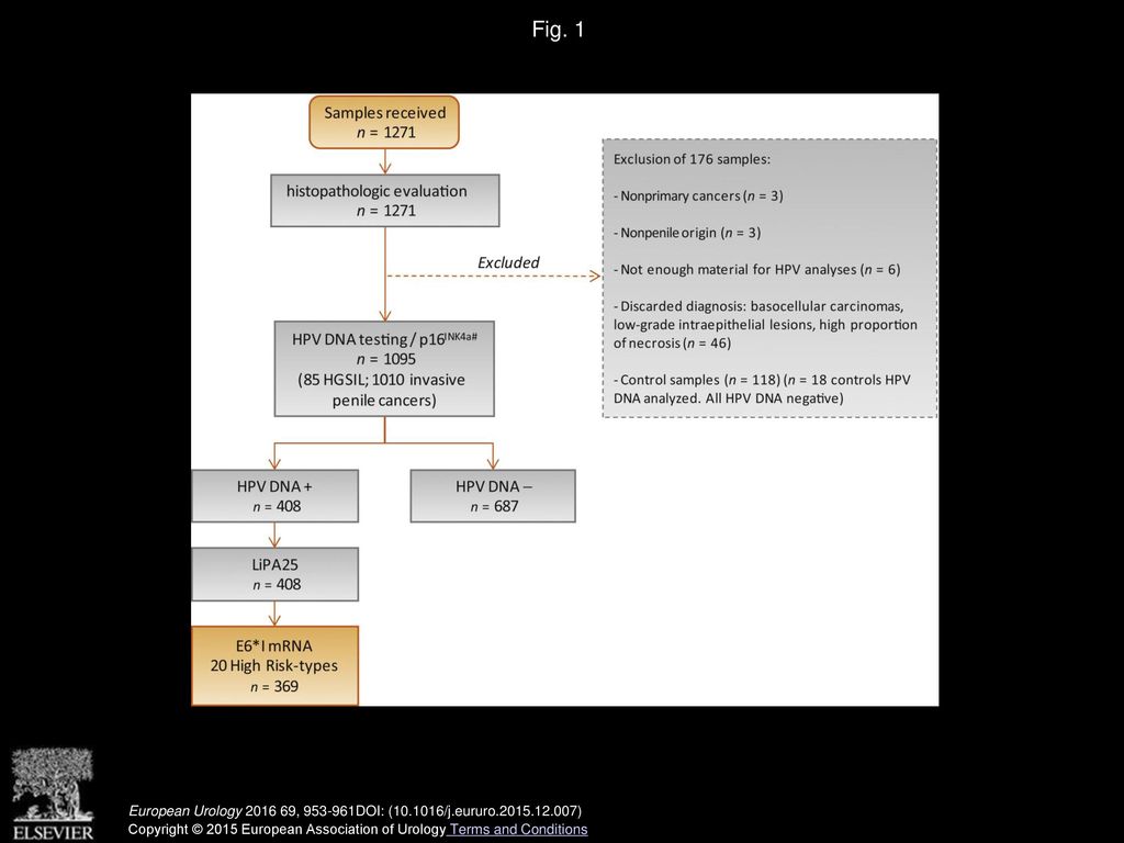 Fig. 1 Study algorithm. #p16INK4a was performed in 1078 cases; in 17 cases there was not available material to perform the staining.