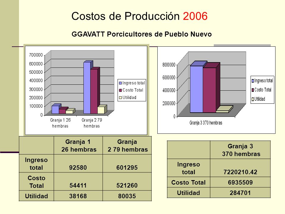 Costos de Producción 2006 GGAVATT Porcicultores de Pueblo Nuevo