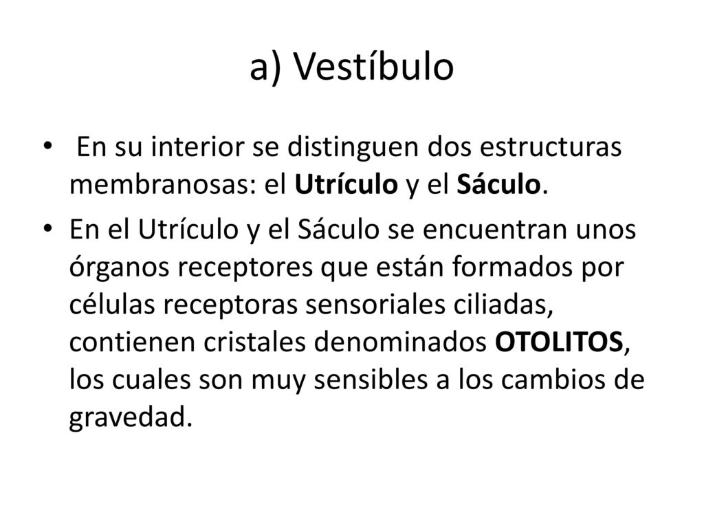 a) Vestíbulo En su interior se distinguen dos estructuras membranosas: el Utrículo y el Sáculo.