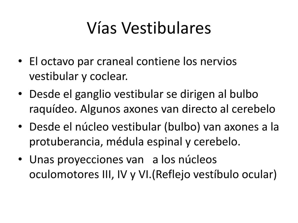 Vías Vestibulares El octavo par craneal contiene los nervios vestibular y coclear.